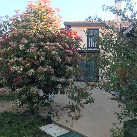 La Maison Des Glycines 度假居 Onesse-et-Laharie